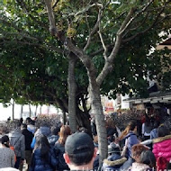 八里佘家孔雀蛤大王