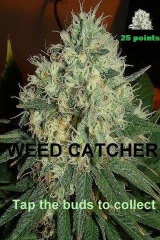 Weed Catcher