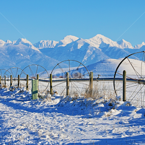 mission mountains by Tiecha Broussard - Landscapes Mountains & Hills