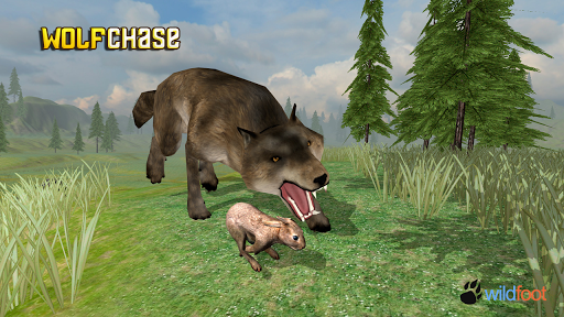 Wolf Chase Simulator
