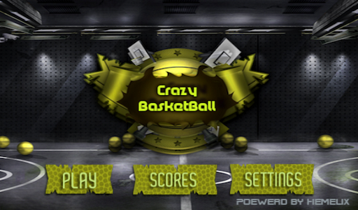 Basketball Mania 3D
