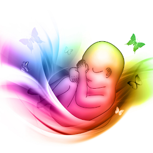 First Time Pregnancy.apk 2.8