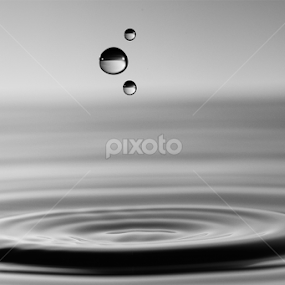 Still Life by Jabrik Cobey - Novices Only Objects & Still Life