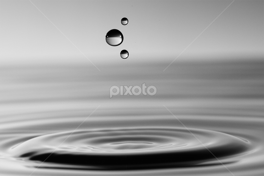 Still Life by Jabrik Cobey - Novices Only Objects & Still Life