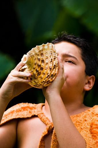 pu-conch-Hawaii - A young man sounds the pu, which traditionally announces the arrival of the royal court in Hawaii. 