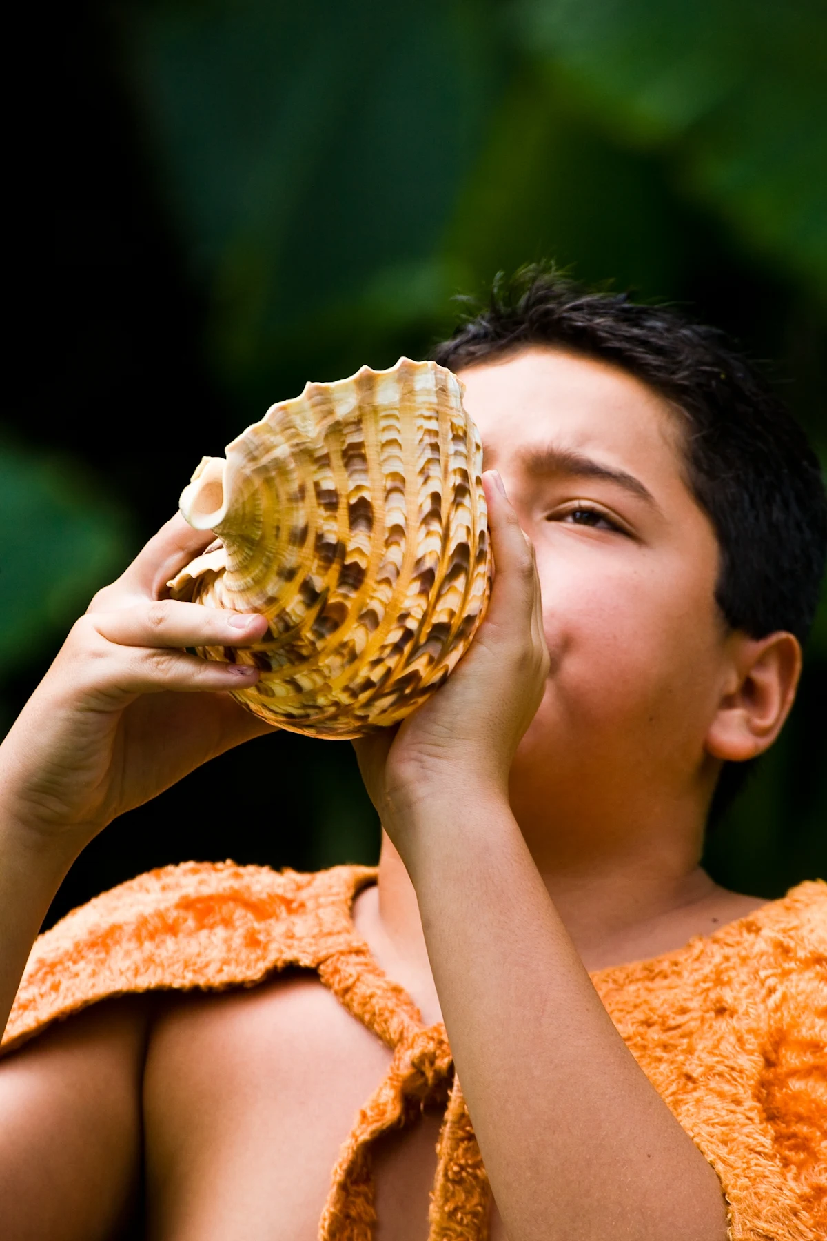 pu-conch-Hawaii - A young man sounds the pu, which traditionally announces the arrival of the royal court in Hawaii. 