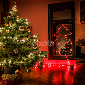 Christmas tree by Marius Neag - Public Holidays Christmas