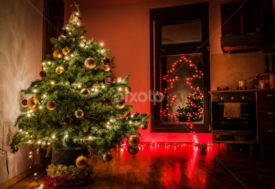Christmas tree by Marius Neag - Public Holidays Christmas