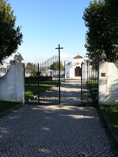 Cemitério Da Fregusia De Cacia