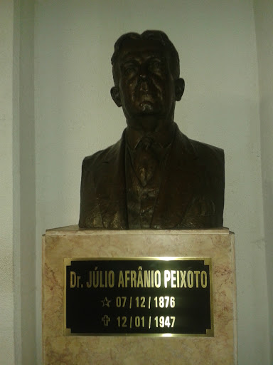Busto Dr. Julio Afranio Peixoto