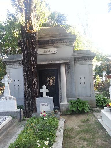 Slavescu Architecture Grave
