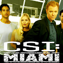 CSI Miami Game