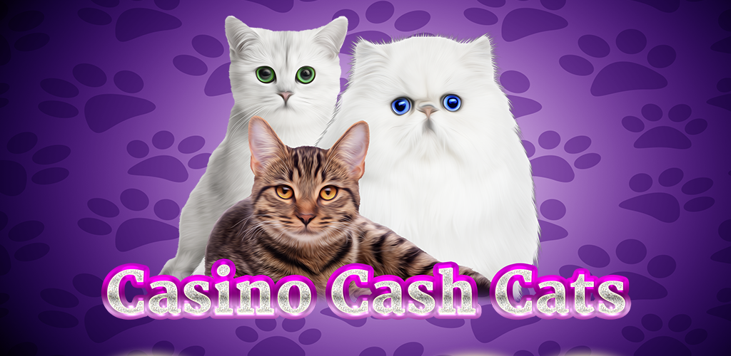 ✅ Cat Casino | Официальный сайт и рабочее зеркало на сегодня