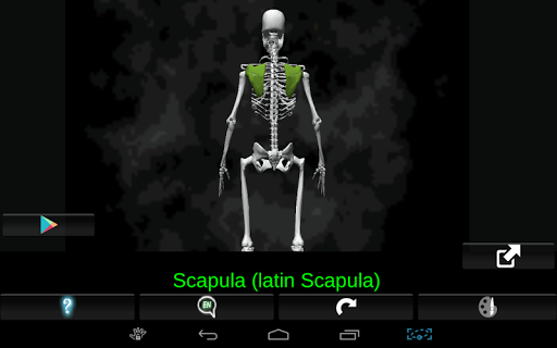 【免費醫療App】Bones Human 3D (anatomy)-APP點子