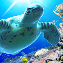 Sea Turtle LiveWallpaper Trial logo