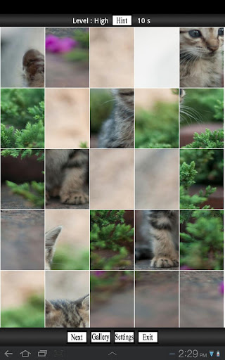 【免費解謎App】Cute Kitten Puzzle-APP點子