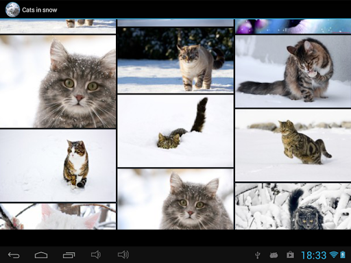 【免費個人化App】Cats in snow-APP點子