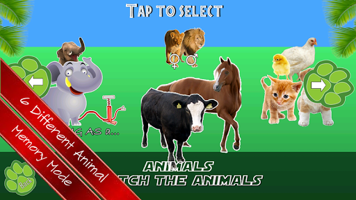 Animal memory Game For Kids