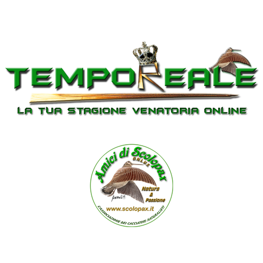 TempoREALE