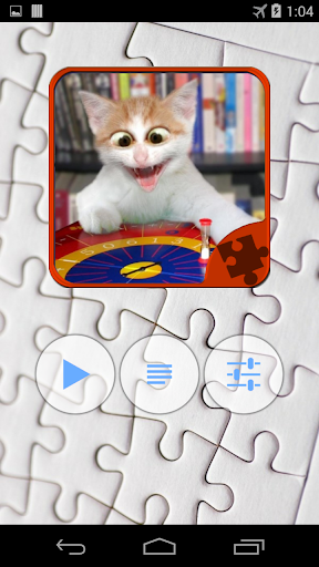 Funny Cats Jigsaw Puzzle