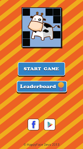 Hidden Image