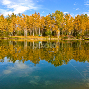 Reflecting on Gull Lake by Doug & Coleen Walkey - Instagram & Mobile iPhone
