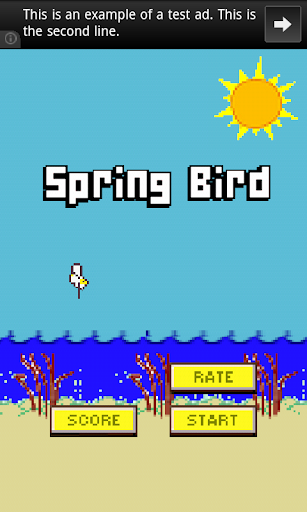 Spring Bird - dive for fish