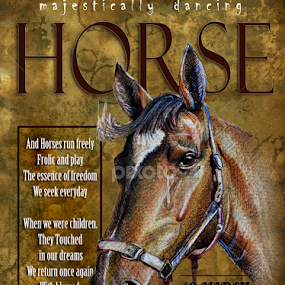 To Run With The Wind by Daliana Pacuraru - Typography Quotes & Sentences