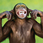 Talking Funny Monkey Free LWP Apk
