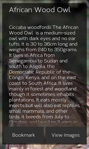 【免費書籍App】Owl Species: Types of Owl-APP點子