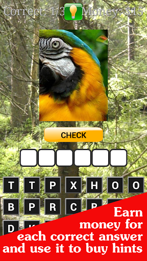 【免費解謎App】Close Up Animals Guess the Pet-APP點子