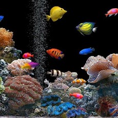 水族館アニメ壁紙 Androidアプリ Applion