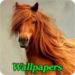 Cover Image of Download Horses Wallpapers 1.5 APK