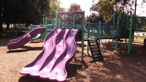 Catty Park Purple Triple Slide