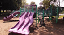 Catty Park Purple Triple Slide