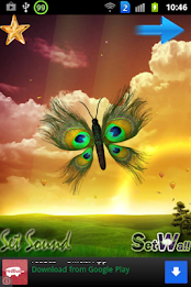 Peacock Butterfly poster 3