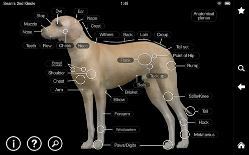 - Four Human 3D Anatomy Data Sets for Direct Download -