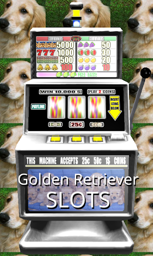 3D Golden Retriever Slots