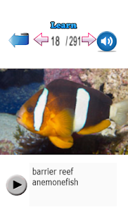 Learn Fish Names Screenshots 13