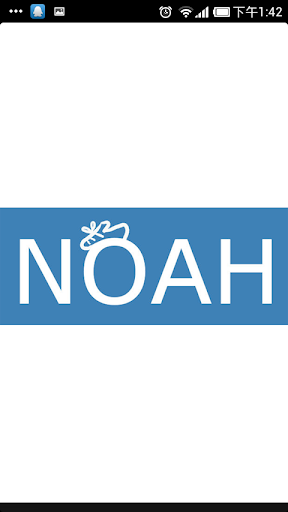 Noah Shoes