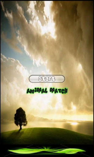 Animal Match Race Game