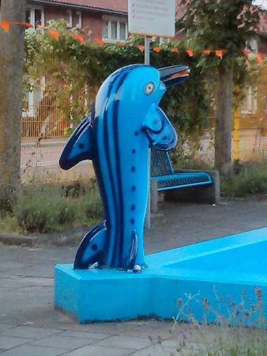 Dolphin's Cry
