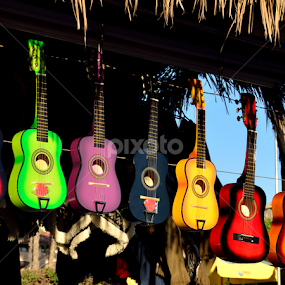 by Rany Haj - Artistic Objects Musical Instruments