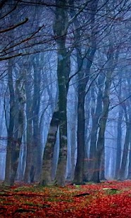 How to install Where Is Red Hood Live Wallpap 1.0 unlimited apk for laptop