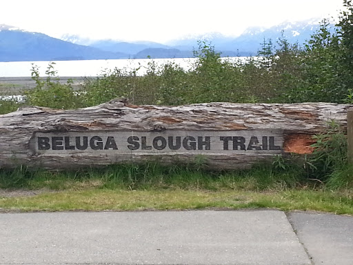 Beluga Slough Trail Head