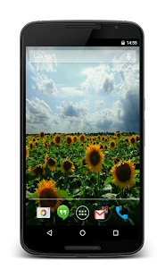Free Download Sunflowers 3D Live Wallpaper APK
