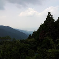 台灣農林熊空茶園
