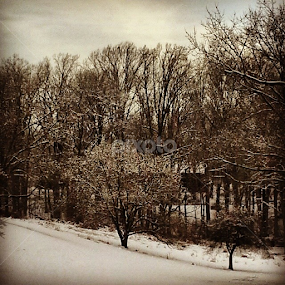 Wintertime at the Brandywine battlefield by Dianne Collins - Landscapes Prairies, Meadows & Fields