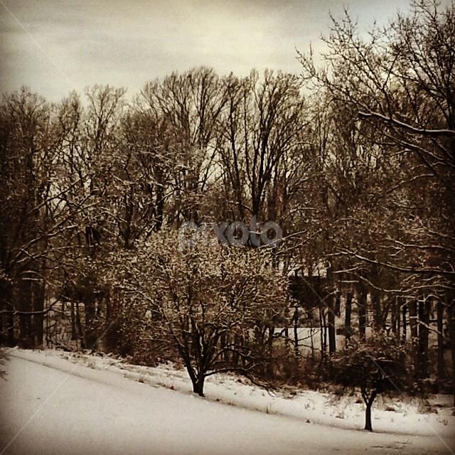 Wintertime at the Brandywine battlefield by Dianne Collins - Landscapes Prairies, Meadows & Fields