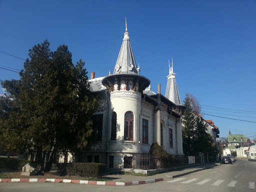 Casa Memoriala Oprea D. Iorgulescu